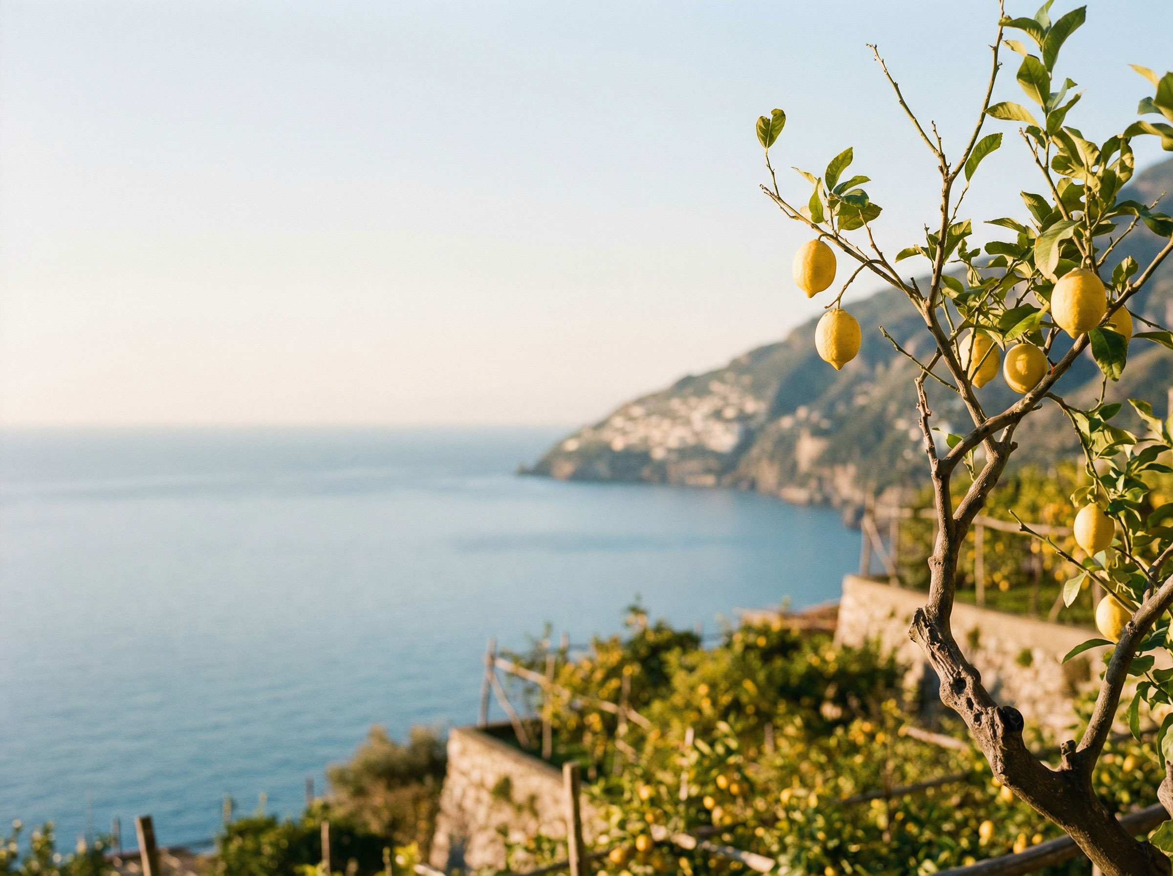 Hero Header 01 VIVO 1 – VIVO Fine Food Market Königstein