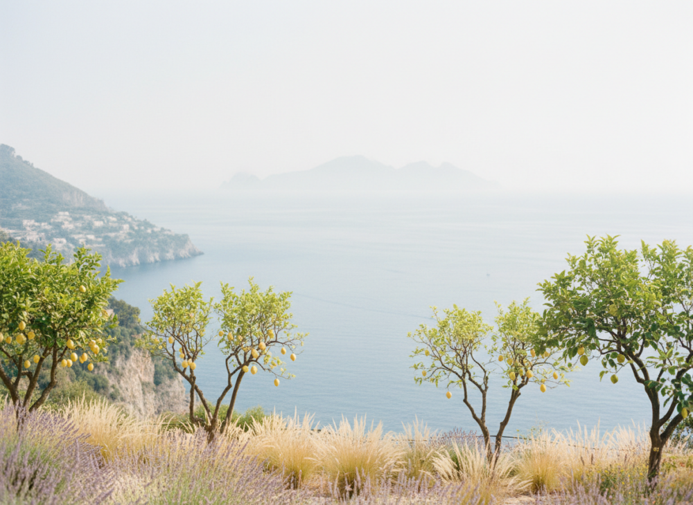 Limuni 01 – VIVO Fine Food Market Königstein